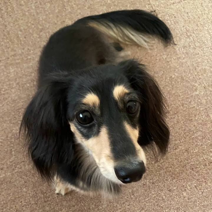 56de958d 2ee3 443f 9d8d a90771ac6b37 1764396468007