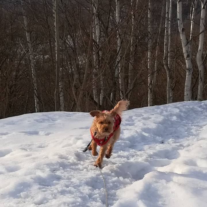 56dea001 dd5e 4706 a6c4 bd5e8eb19fc8 1552092960563