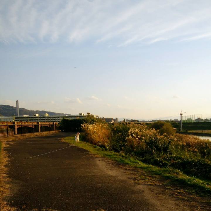 56def250 49af 406d 9158 9e54d258fc6b 1543134007431