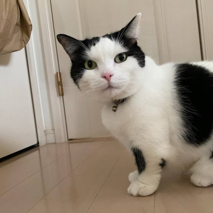 56def2d9 661f 43ef 934c fad59dfce7df 1761691183562