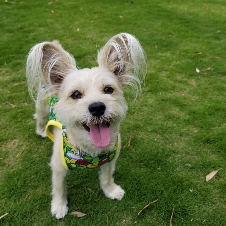 56df2566 7aac 4485 9c12 b3c727d0ecf4 1527481517659