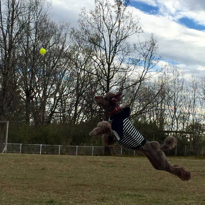 56df348d 420d 46d4 845b e9b61a91ccbe 1524643933608