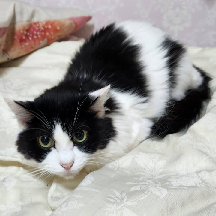 56df5c21 68af 4582 8d2d 67e13a726d6b 1732399874224