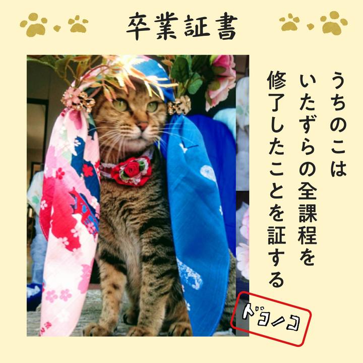 56df6123 a99c 47b5 b93d 1814ce6c3b68 1772148915451