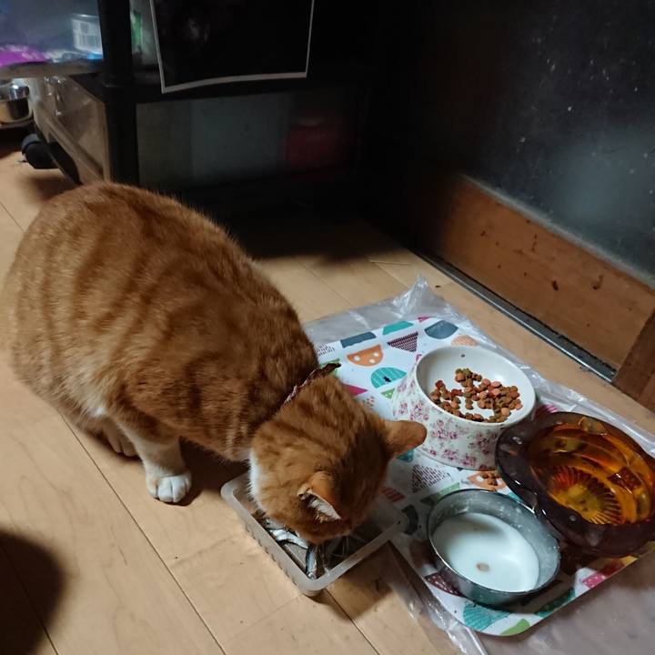 56df8dd2 1d50 4e39 aae0 042a8bf1a6d3 1606334024903