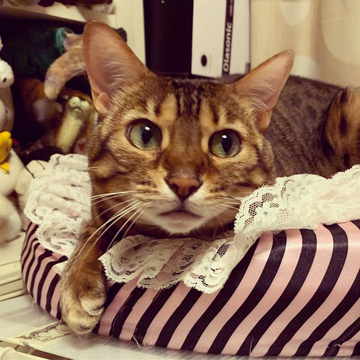 56df96df 143d 4ce0 b401 36fa08132ad2 1573600239272