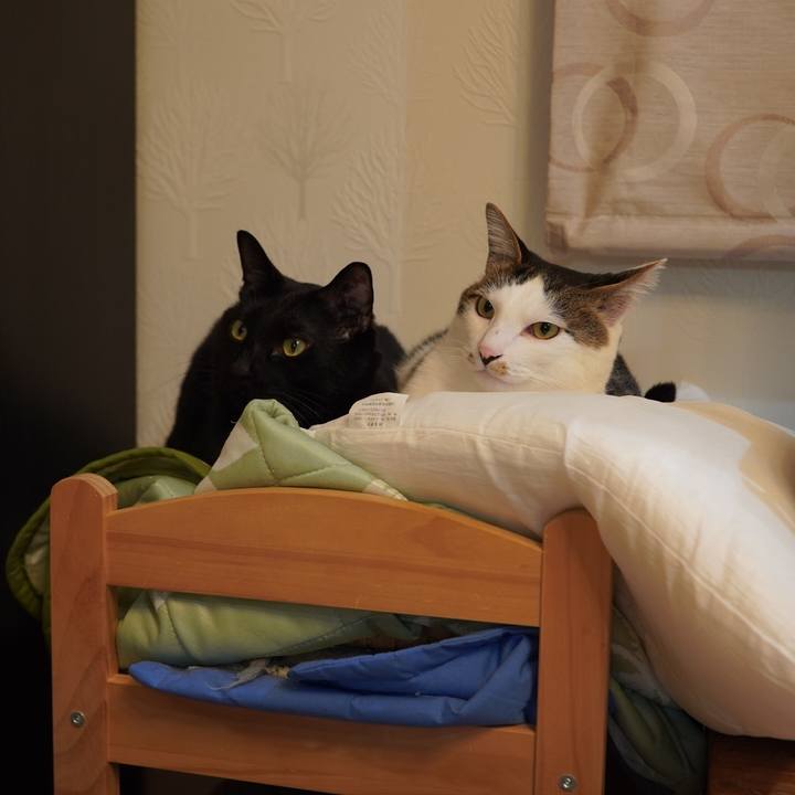 56dfc668 7b5a 422c a5b9 6950a49feb03 1608127994307