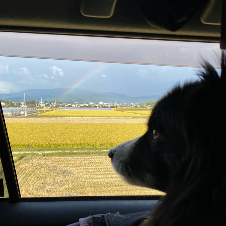 56dfd237 d807 4ed9 b3d9 9bb7bbbe229e 1666569692310