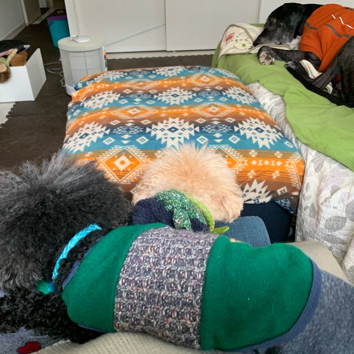 56dfee46 2b22 4223 b5c8 a917d6334125 1574471676828