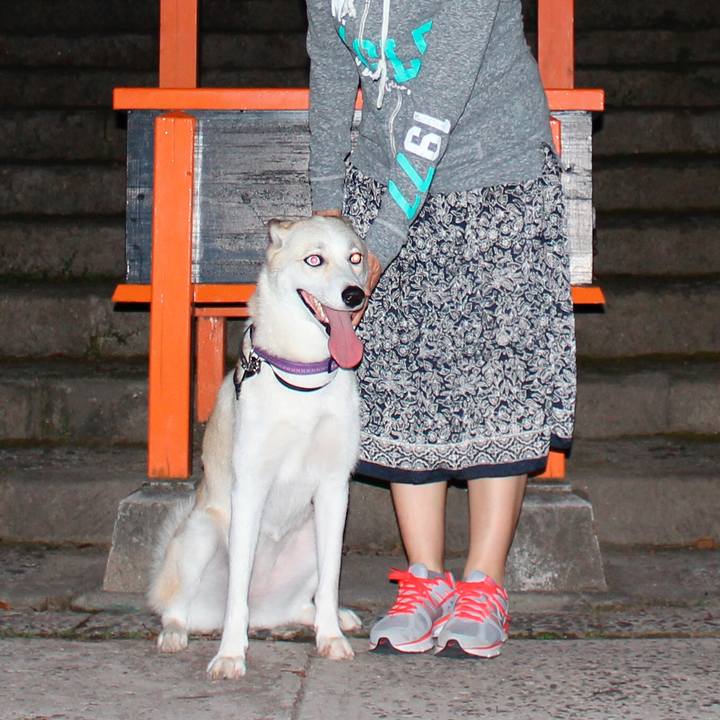 56e00823 5cb3 4ff1 ae1d c5fb69e3bc2a 1536659232524