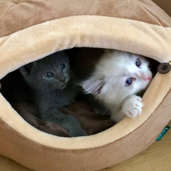 56e01e65 4f3b 4609 b523 fde2f05317cb 1615018059820