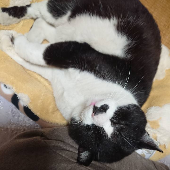 56e02f04 85ea 42b3 95b8 d433c7618135 1647428766701