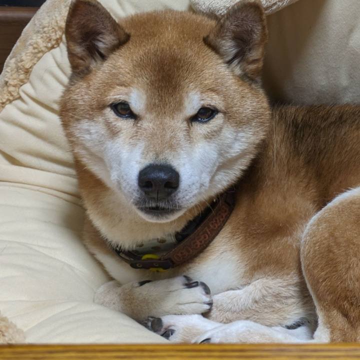 56e0311c e3f6 4c74 8b08 34fbd32bbff4 1705716065387