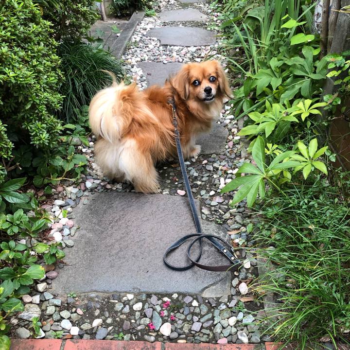 56e0398c 0596 4b5d 908e 4023486c6995 1567548335209