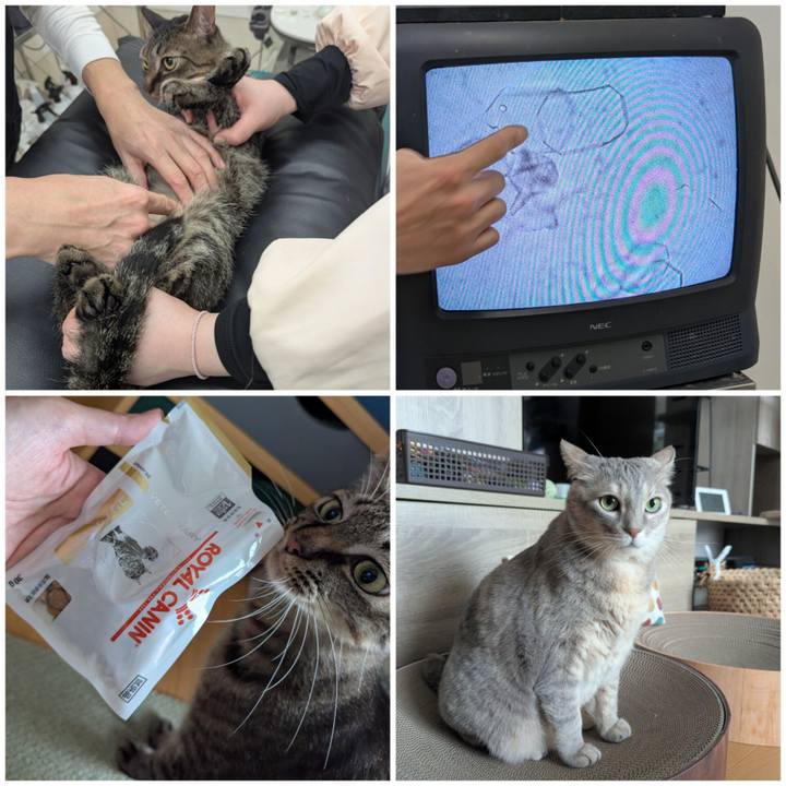 56e048a7 eacf 4d82 8592 d531115c894c 1764651306796