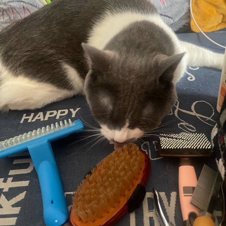 56e04cd0 575b 4931 a0ba 785633c4bb40 1749349299105