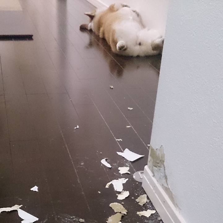 56e05142 4a37 4e1f 9ad1 c88f21259bc0 1523861931980