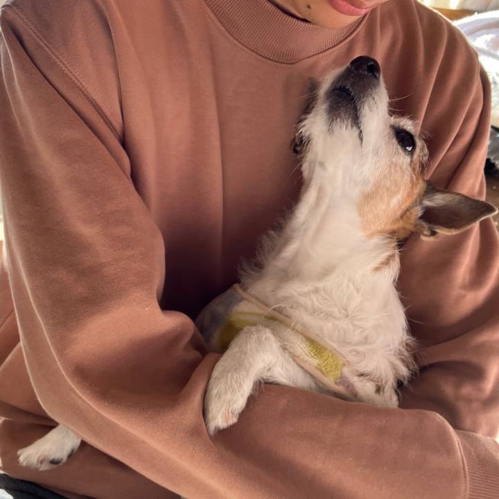 56e06c83 68b5 4249 bb4f 26ed5061339e 1734304931014