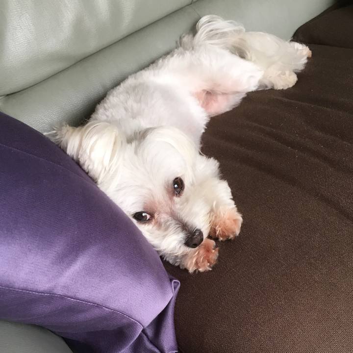 56e0a9d5 0a2e 4bb7 b13c 9b8de317da5f 1532232195723