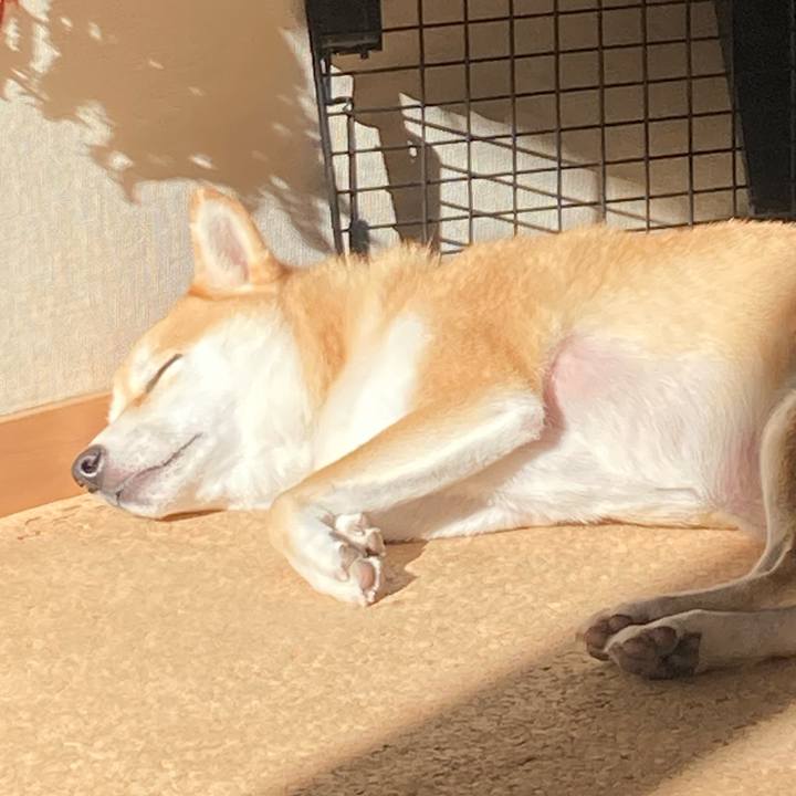 56e0be0d de8f 4546 a40a 8a7f668df867 1735693442934