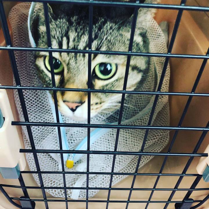 56e0f10f 434e 4ed5 8fe2 c867b94a6502 1563277407213