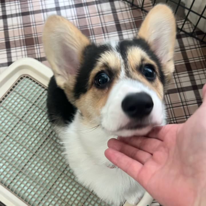 56e0fa0e 76cf 4a21 9c0a 6da14320c60a 1773053151112