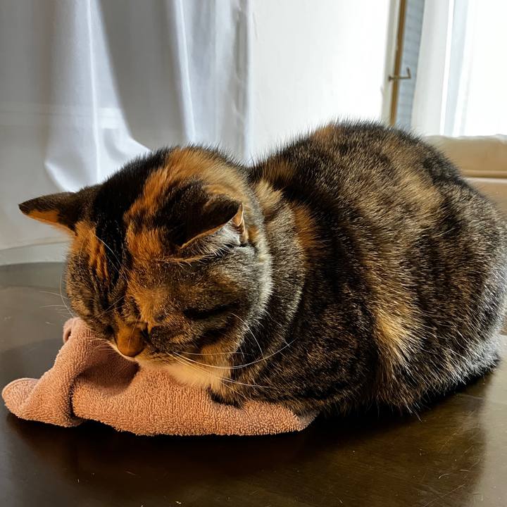 56e10f17 2fc5 46b6 a530 698ff93a6604 1771907864666