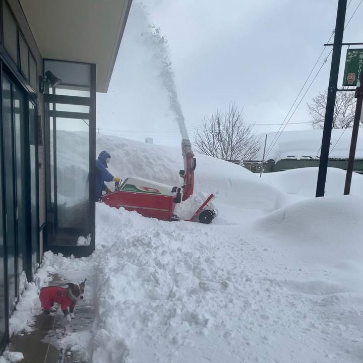 56e14f31 26b4 4e1a 815b ebd1c3293d40 1642752290502