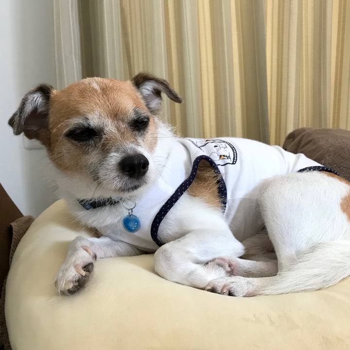 56e16af8 4b05 488d a8ae 592e9f5f647d 1567827358886