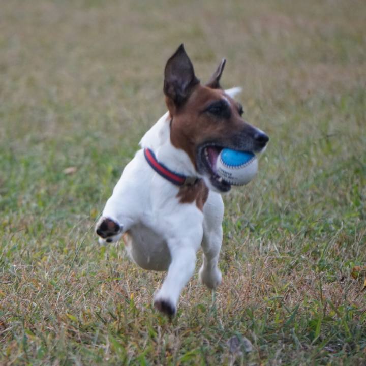 56e1aa1e c143 4f08 b358 f7d6eeb22b45 1540336609249