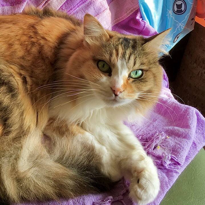 56e227b3 8544 4e3a 8042 665280a0f88e 1615783315397