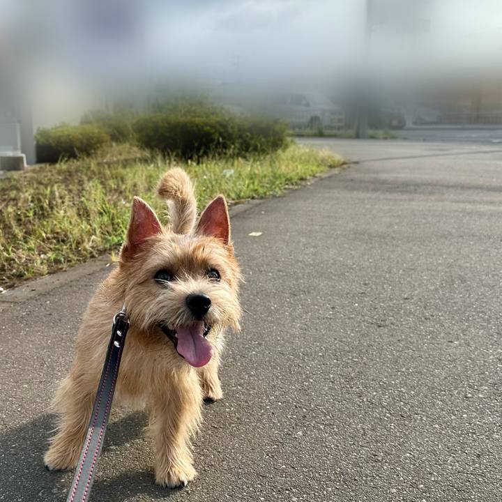 56e23f45 4b77 4667 b122 708922f35ccb 1724571934559