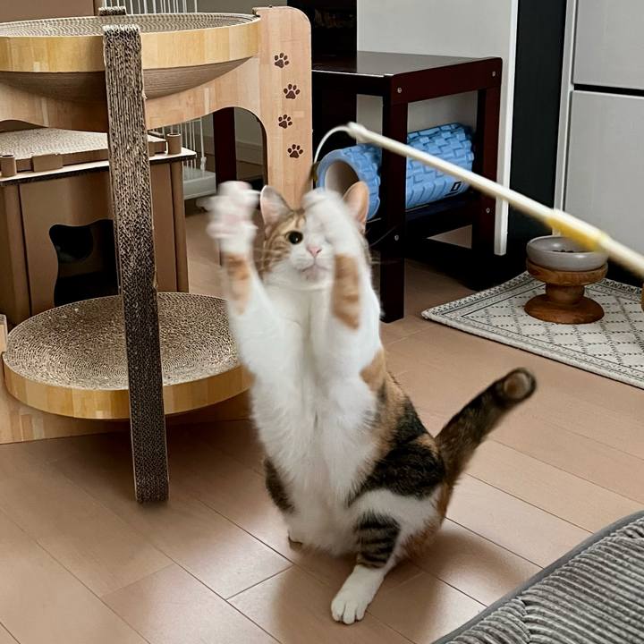 56e249c4 a927 4739 b4f5 80d316bb7764 1764039283169