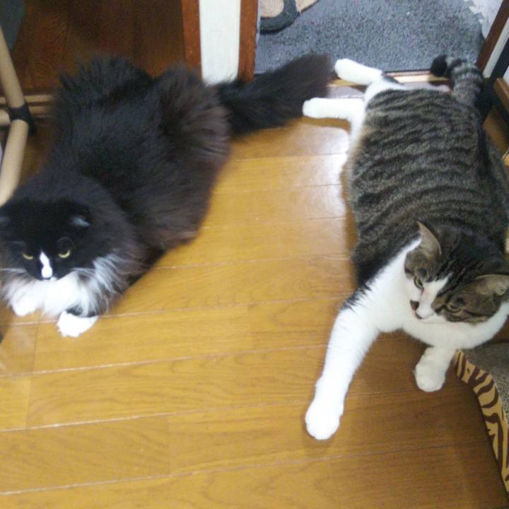 56e24a44 8252 4b75 8f97 9f9dac3b892f 1660004096731