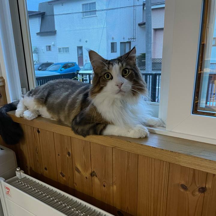 56e25f97 f2e6 4531 9872 4cfa66844c2c 1661803608455