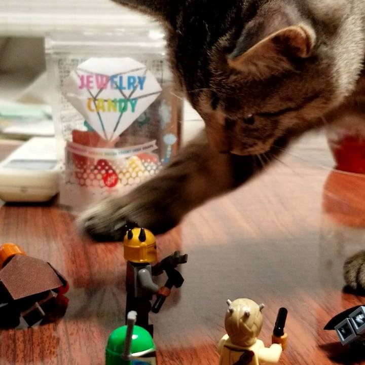 56e2617e 32fc 40f8 a343 d04289800354 1669528519414