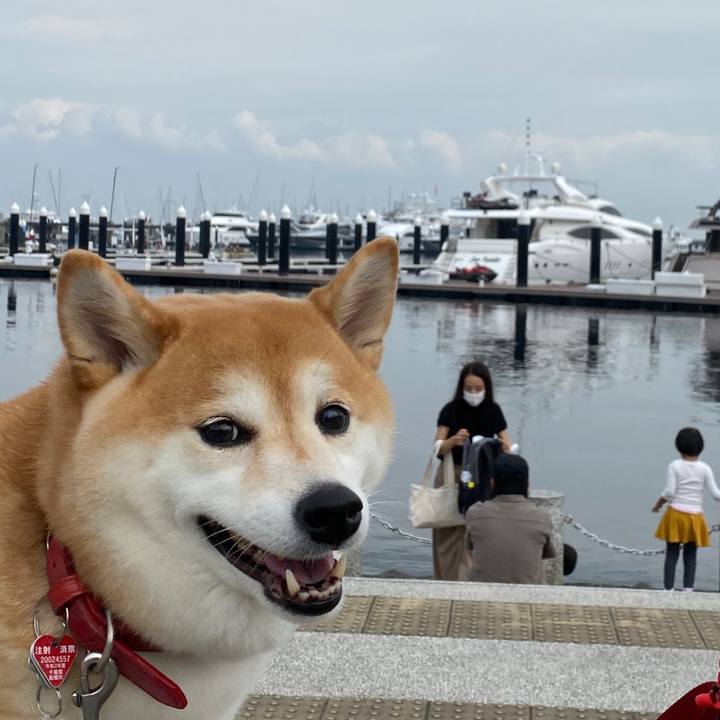 56e27810 1d47 4513 a090 52f871a26f80 1601909090305