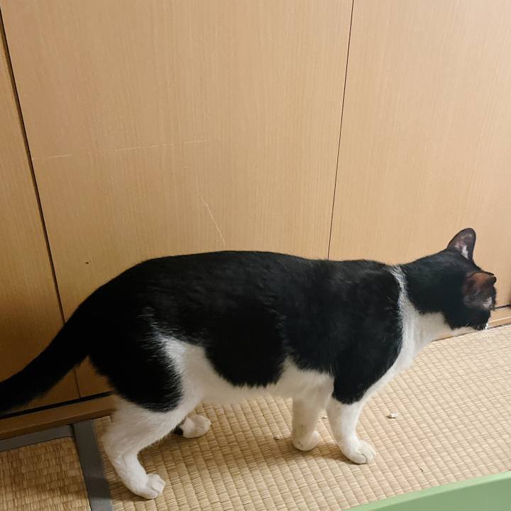 56e278b8 dd86 460a ba68 c36248f09643 1661405423678