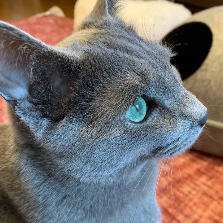 56e27a8e 4894 48f6 964b 0a203c3e5b51 1585698126208