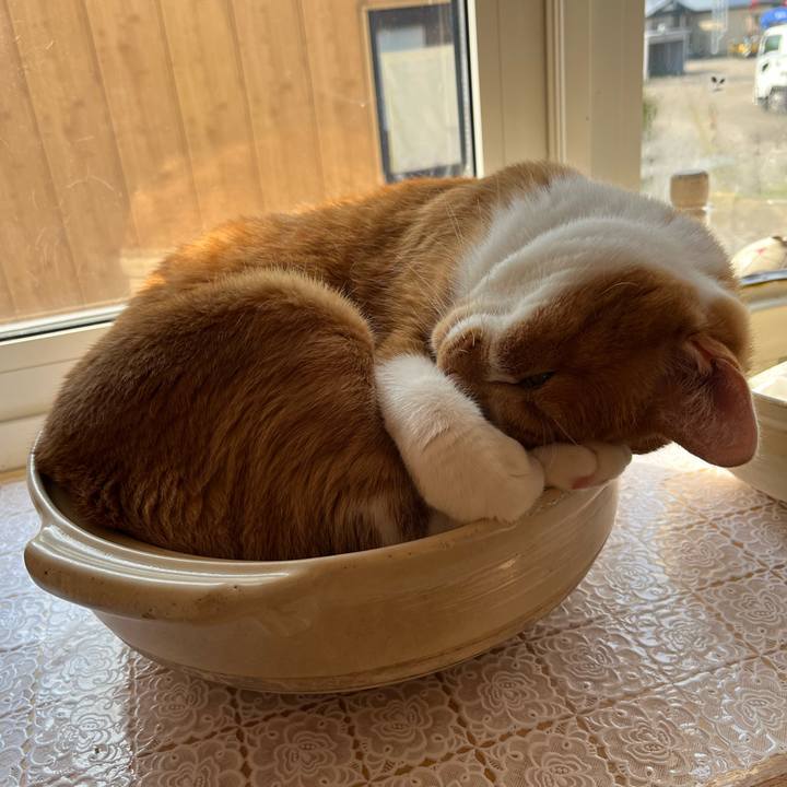 56e28c3b f514 4bc9 84eb 132ab405b469 1747262868383