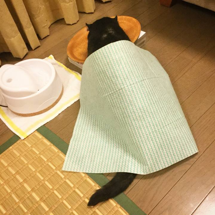 56e2b2cd e206 4207 90af c312a86dca21 1508158066987