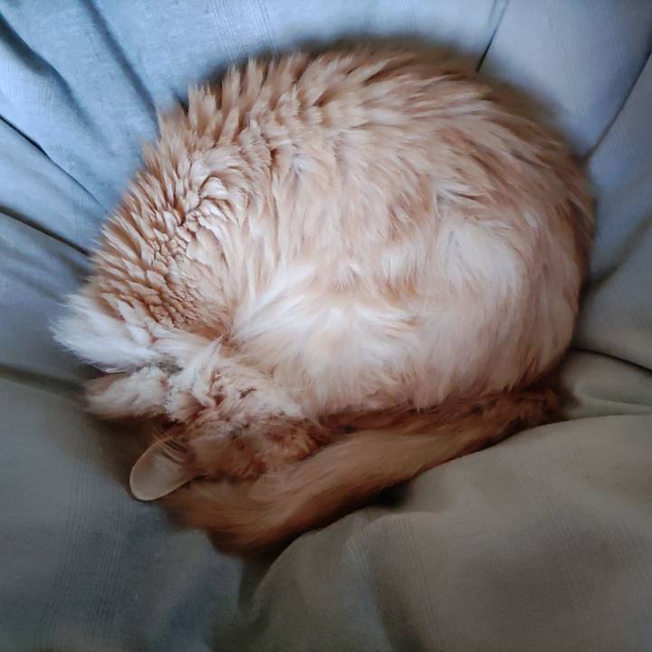 56e2ee84 259c 4b67 9d7d 98e33069b2fb 1678245687345