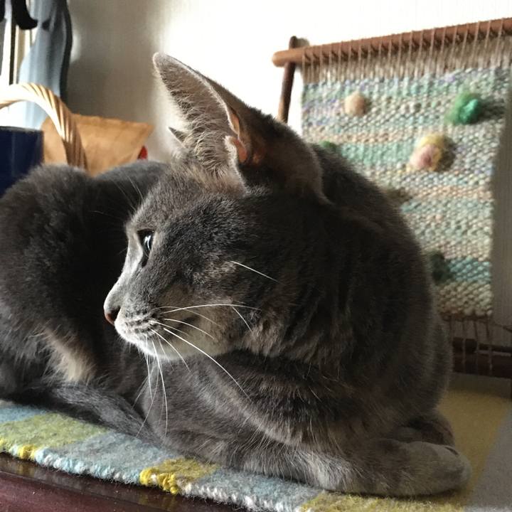 56e2ff9b e634 4693 aedd f6aa99fce3d4 1592960709790