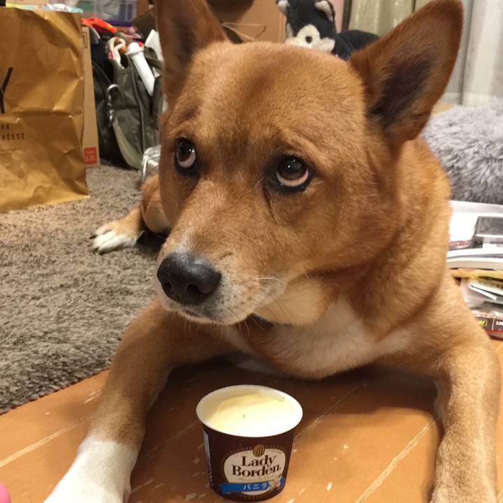 56e31318 4d0a 4ebb 920c c438b94b85bc 1606793978095