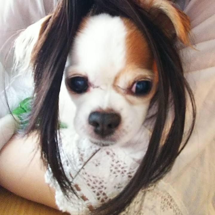 56e31ed3 90d9 4068 bca0 bbaa7e3d9094 1529825045593