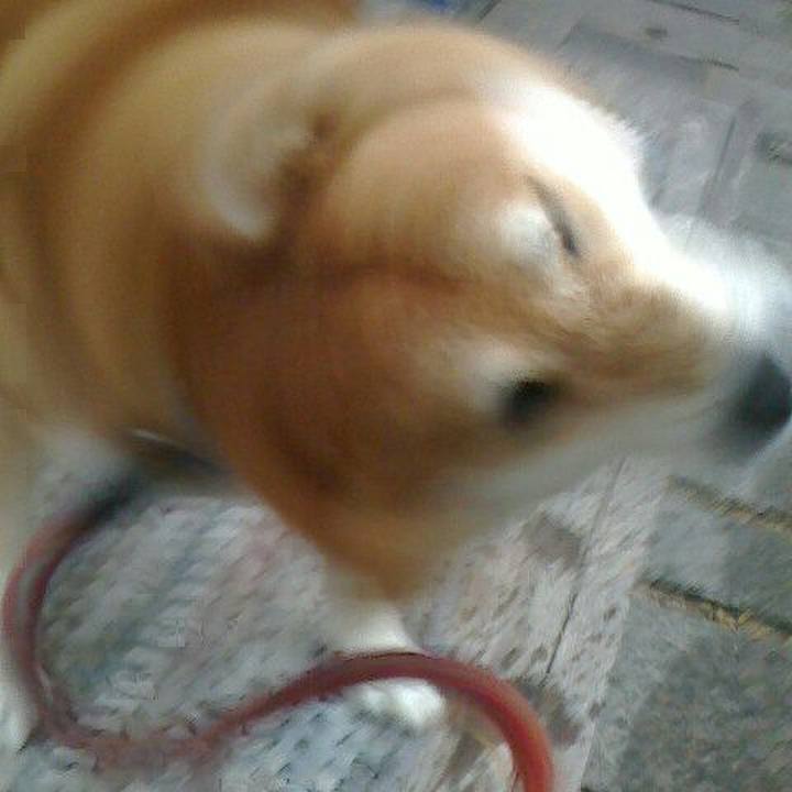 56e322fc c2d8 4fb8 8209 892b7261245a 1563701867284