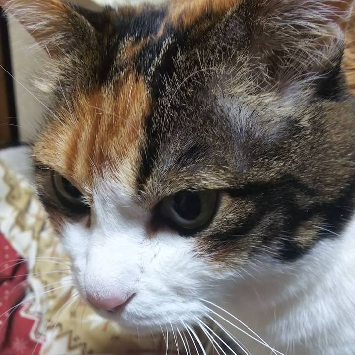 56e33fbe 60c3 4b24 a32f ec4b09a59197 1583702557641