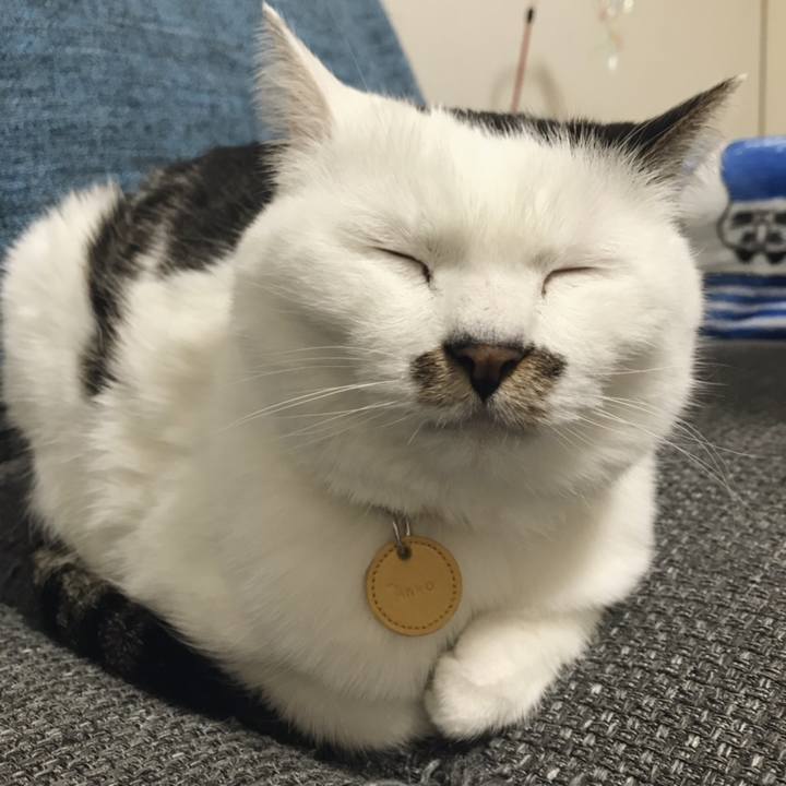 56e36d72 eb3e 4e27 bd3a c8fa9ef4f235 1554686888139