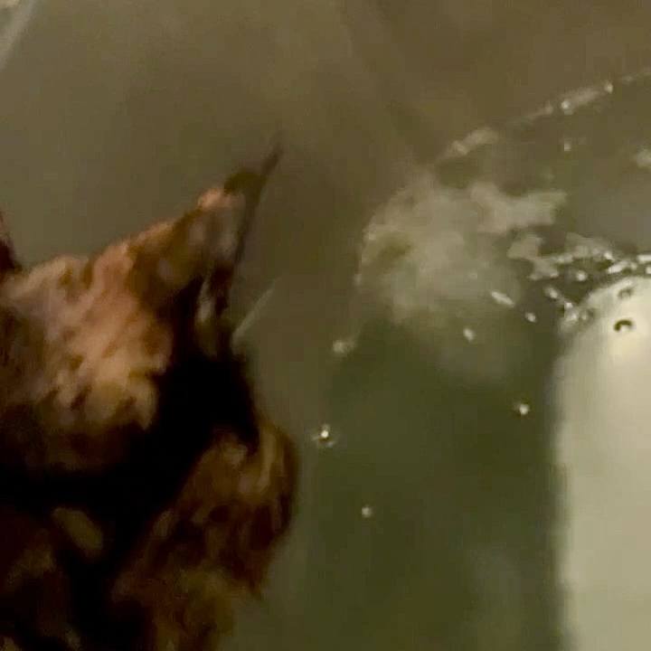 56e38569 f9ab 49e9 b581 807b3cca1639 1768855076385