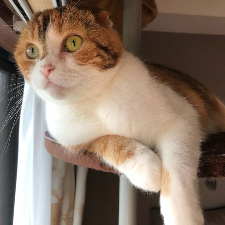 56e38e86 c706 4b4b 9b91 e5d5906cb42d 1556679393307